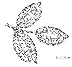 two leaves are shown in black and white, with the words'kruaku ku