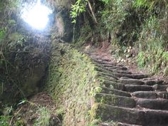 an old stone stairway in the jungle with lots of moss growing on it's sides