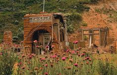 an old rusted out building sitting on top of a hill next to wildflowers