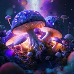 if you need this paper wallpaper send me a message Wallpaper Aesthetic Mushroom, Wallpaper Iphone Mushroom, Black Mushroom Wallpaper, Backgrounds Mushroom, Fall Mushroom Wallpaper, Dark Mushroom Wallpaper, Aesthetic Mushroom Wallpaper, Mushroom Wallpaper Iphone, Pink Wallpaper Cute