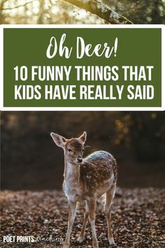 a deer with the words oh deer 10 funny things that kids have really said