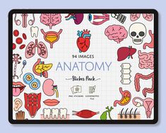 an anatomy sticker pack with different types of organs and their names on the back