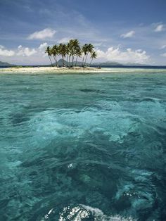 an island with two palm trees in the water