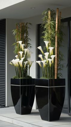 two black planters with white flowers in them