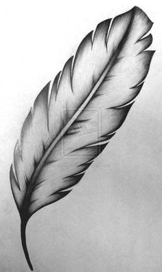 a black and white drawing of a feather on a piece of paper with the tip of it