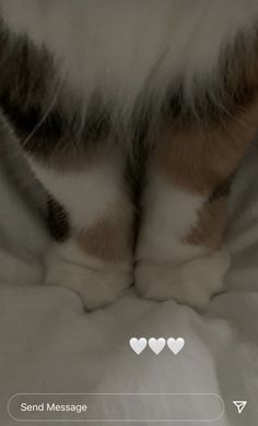 a cat laying on top of a bed next to a white sheet with hearts drawn on it