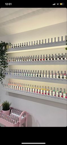 there are many bottles on the wall and one is filled with different colored liquids