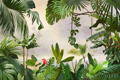 the jungle is full of tropical plants and trees