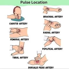 instructions to put on the wrist and hand with different types of hands that are attached to each