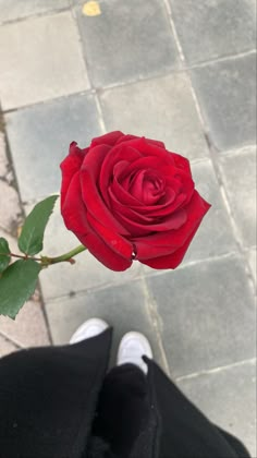 a single red rose in someone's hand on the ground with their feet up