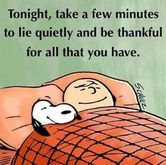 a cartoon character sleeping in bed with the caption tonight, take a few minutes to lie quietly and be thankful for all that you have