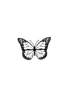 a black and white photo of a butterfly