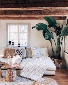 a living room filled with lots of white furniture and plants on top of the tables