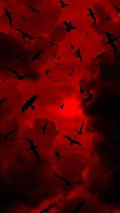 a flock of birds flying through a cloudy red sky