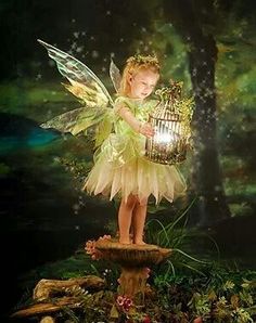 a fairy holding a bird cage with the words good morning on it