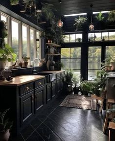 a kitchen filled with lots of potted plants