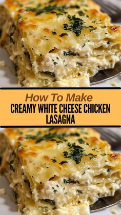 Ingredients: 9 lasagna noodles ½ cup butter 1 onion, chopped... Stouffers Chicken Lasagna Recipe, Easy Dinner For Small Family, White Cheese Lasagna, Cream Cheese Lasagna Recipe, White Lazy Lasagna, Best Lasagna Recipe With Cottage Cheese, Sides With Lasagna Dinner, White Sauce Lasagna Recipe, Easy White Chicken Lasagna