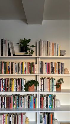 a bookshelf filled with lots of books next to a potted plant on top of a wooden table