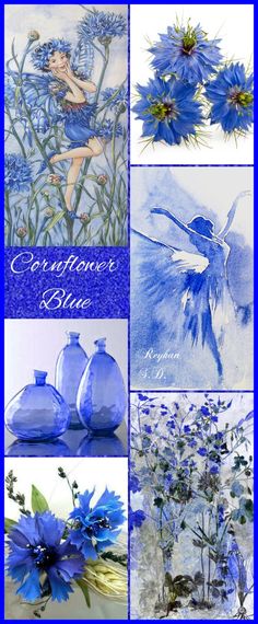 blue flowers and vases are featured in this collage