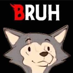 an image of a cartoon cat with the word bruh on it's face