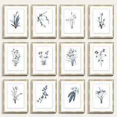 six framed pictures with flowers in them