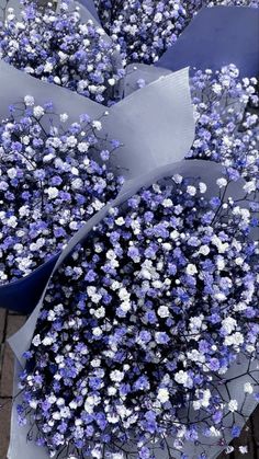 bunches of blue and white flowers sitting on top of a brick floor next to each other