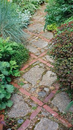 a garden path is surrounded by plants and shrubs