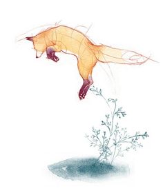 a drawing of a fox jumping over a plant