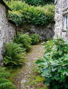 an old stone building with lots of plants growing around it