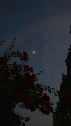 the moon is shining brightly in the sky above some buildings and red flowers on tree branches