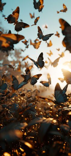 many butterflies are flying in the air over some plants and bushes at sunset or dawn