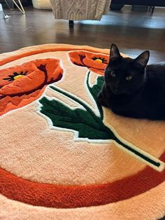 a black cat laying on top of a rug