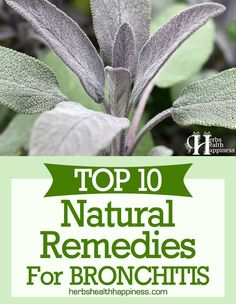 Remedies For Bronchitis, Natural Remedies For Bronchitis, Home Remedies For Bronchitis, Stuffy Nose Remedy, Allergy Remedies, Healing Remedies, Health Ideas, Net Top, Healing Plants