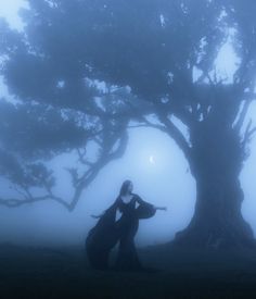 a woman standing in front of a tree on a foggy day with her arms outstretched