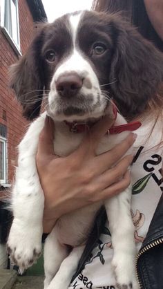 a woman holding a puppy in her arms outside on the sidewalk near a brick building