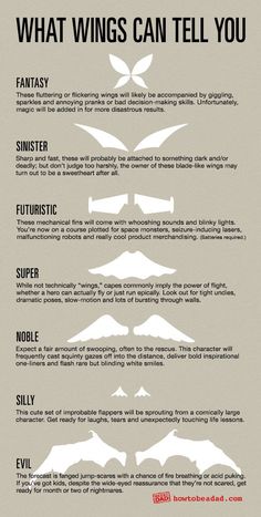 an info sheet describing the different types of wing shapes and how they are used to fly