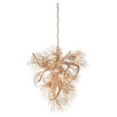 a chandelier with branches hanging from it's sides and roots on the bottom