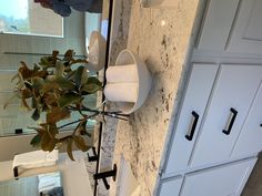 a bathroom with white cabinets and a plant in the corner next to the toilet paper dispenser