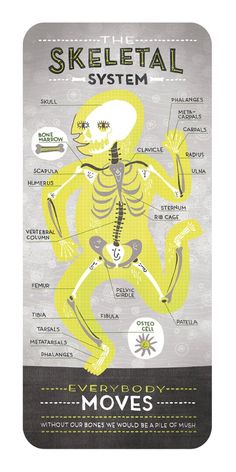 the skeletal system is shown in yellow and black, with instructions on how to use it