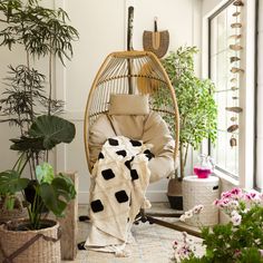 a room filled with lots of potted plants next to a hanging chair and window