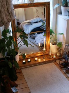 a large mirror sitting on top of a wooden floor next to a potted plant