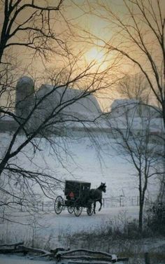 a horse drawn carriage traveling down a snow covered road