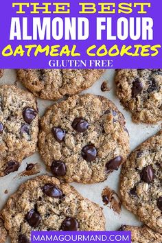 the best almond flour oatmeal cookies are gluten free and made with chocolate chips