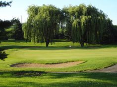 a golf course surrounded by trees on a sunny day