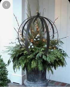 a potted plant with christmas lights in it