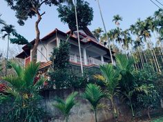 the house is surrounded by palm trees and greenery