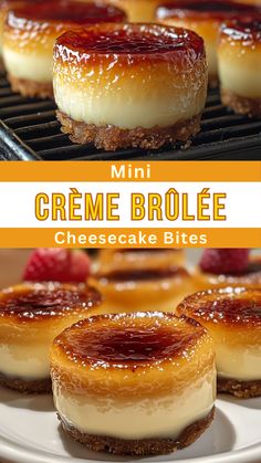 Easy Dessert Recipes: Mini Crème Brûlée Cheesecake Bites Nilla Wafer Mini Cheesecake Recipes, Cocktail Desserts Party, Fancy Desserts For Two, Coconut Cheesecake Bites, Cheesecake Party Ideas, Mini Pecan Cheesecake Bites, Desserts That Aren't Too Sweet, Creme Brulee Bites, Holiday Mini Cheesecake Recipes