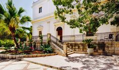 a large white building sitting next to a lush green tree