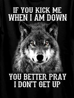 a wolf with the words if you kick me when i am down, you better pray i