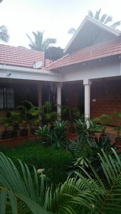 the house is surrounded by greenery and palm trees on a rainy day with rain coming down